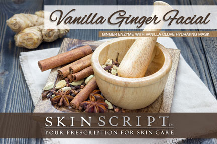 Ginger Enzyme with Vanilla Mask Seasonal Facial Photo
